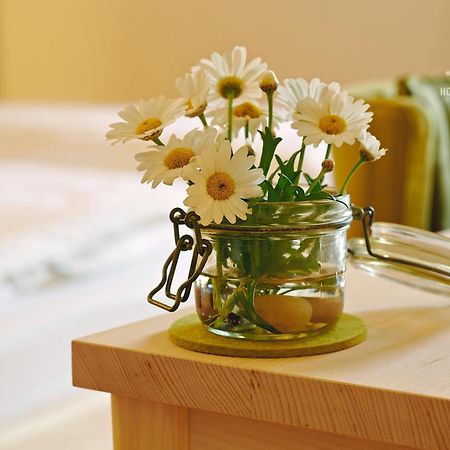 Hotel B&B "Zur Schanz" เอบส์ ภายนอก รูปภาพ