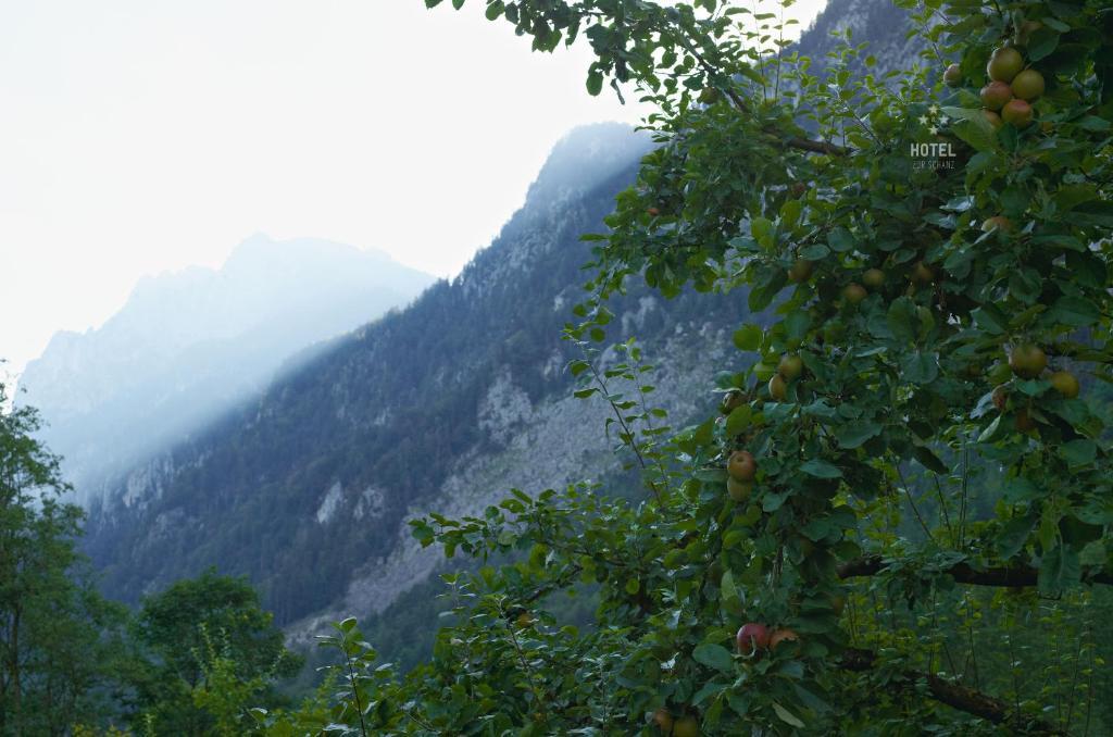 Hotel B&B "Zur Schanz" เอบส์ ภายนอก รูปภาพ
